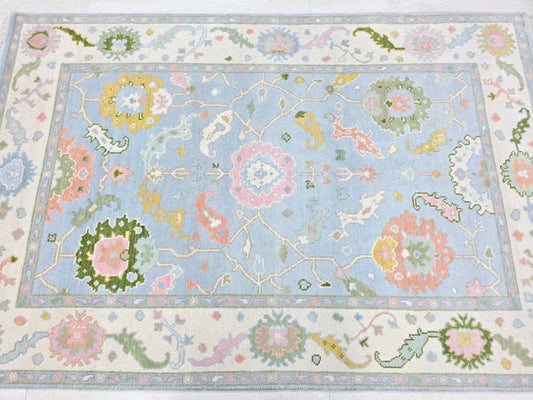 Vintage-inspired light blue floral area rug with an ornate ivory border