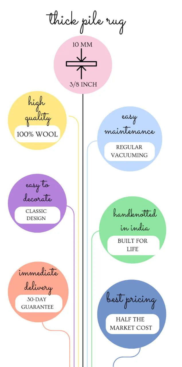 Infographic showing thick-pile handwoven wool rug features, including 10 mm pile height, 100 percent wool, easy maintenance, classic design, handmade in India, fast delivery, and best pricing