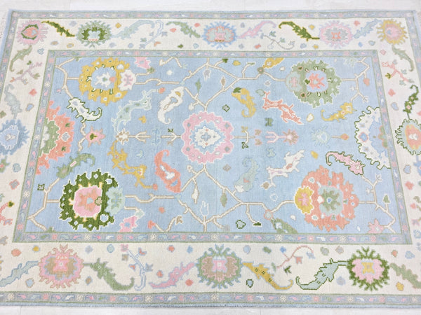 Vintage-inspired light blue floral area rug with an ornate ivory border